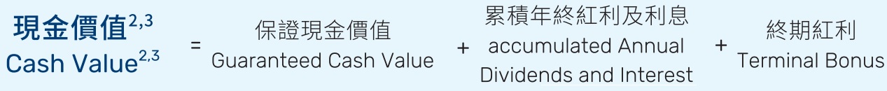 現金總價值構成.jpg